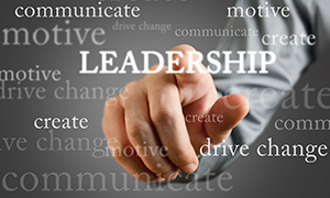 box 1-procurement projects